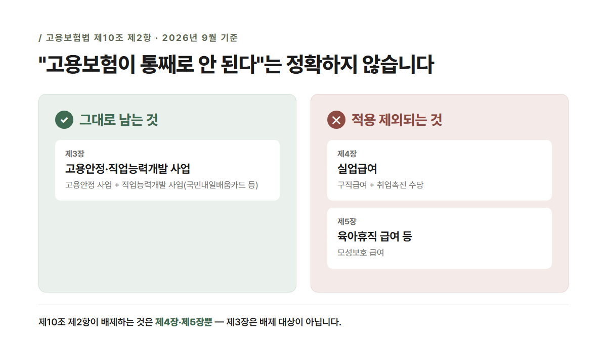 65세 이후 신규 고용자에게 남는 것(고용안정·직업능력개발 사업)과 빠지는 것(실업급여·육아휴직 급여) 2단 비교 카드